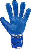 Reusch Attrakt Freegel Fusion 5170965 4010 blue back